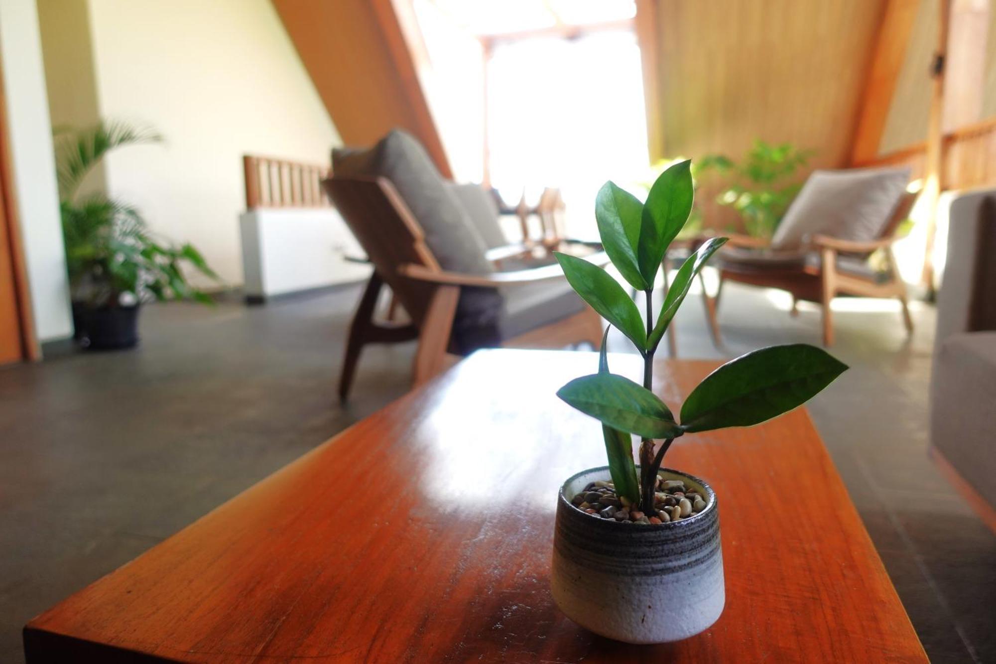 The Vinaya Boutique Hotel 乌布 外观 照片